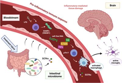 Long-Term Cognitive Dysfunction in Cancer Survivors